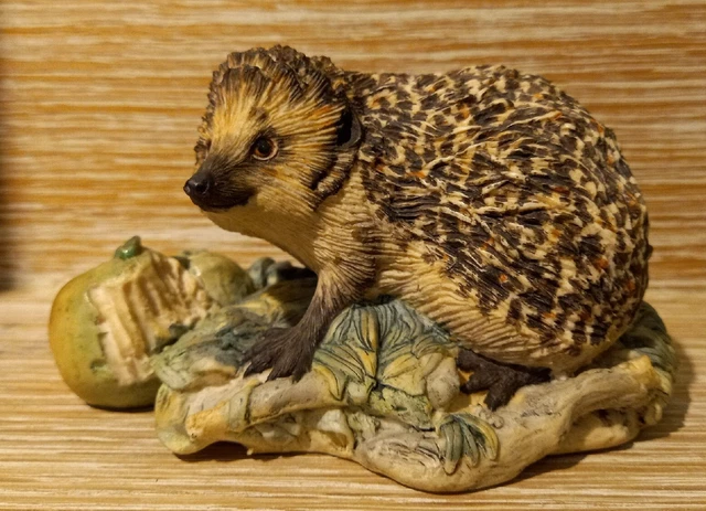 1983 Border Fine Arts Scotland Hedgehog June Boyt