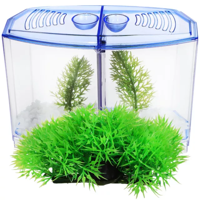 Plante D'aquarium Mini-ordinateur De Bureau Décorations Voyage Fraiche