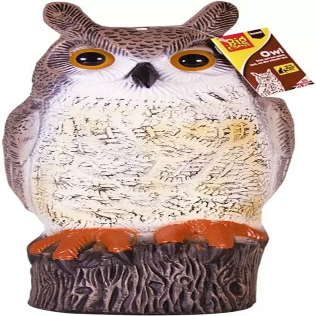The Big Cheese Long Eared Owl Realistic Decoy Deterrent, Scares Birds from A