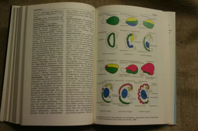 Lexikon Neurobiologie Nervensystem Neurologie Neurowissenschaften DDR 1988 2