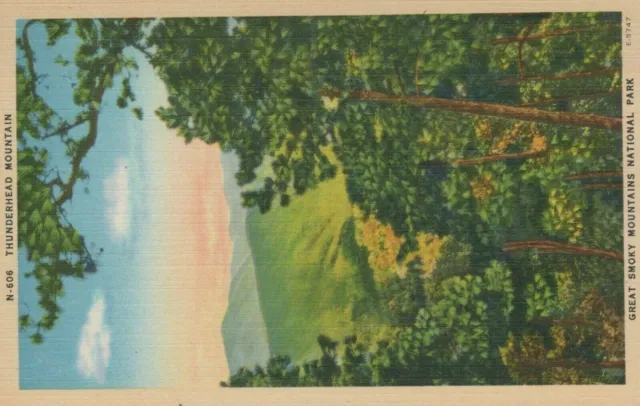 Thunderhead Mountain Great Smoky Mountains Nat'l Park TN Linen Vintage Postcard