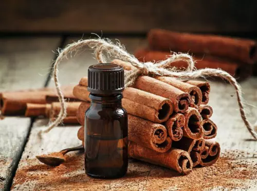 CAPILO ACEITE ESPIRITU de Canela.Cinnamon Spirit Oill Massage Hair  Treatment 4oz $14.95 - PicClick