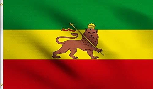 DMSE Ethiopia Ethiopian with Lion of Judah Flag 3X5 Ft Foot 100% Polyester 100D
