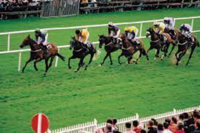 The Zakarie Horse Racing System The Zakarie Horse Racing System