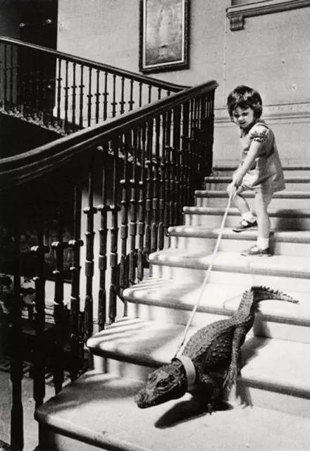 Antique Girl Walking Alligator Photo 1252 Oddleys Strange & Bizarre