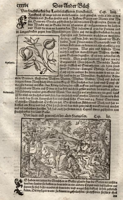 Frankreich Ideallandschaft Original Holzschnitt Münster 1578