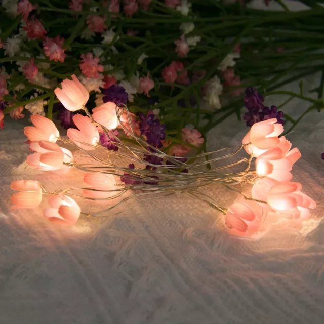 2M 20LED Flowers Night Light 5M 50LED Flower Fairy Light  Wedding