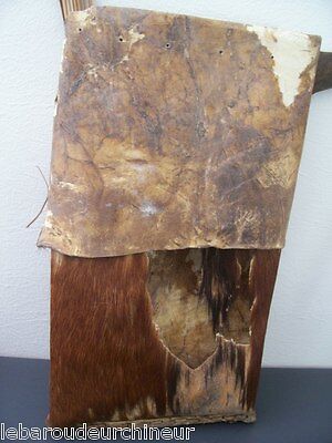 Quiver Of Pygmy African Art African First Tribale Easter Kunst