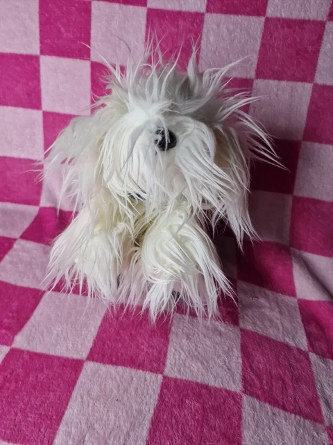 dulux dog soft toy