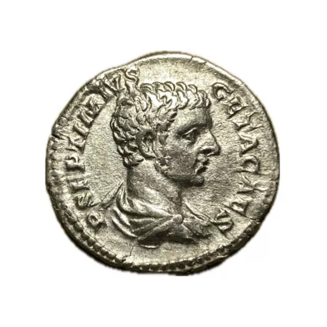 Ancient Roman Coin - Silver Denarius Septimus Severus 193-211 AD 2