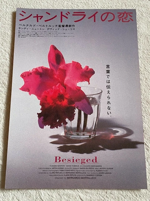 L'assedio 2000 Movie Flyer Japanese Chirashi Thandie Newton David Thewlis