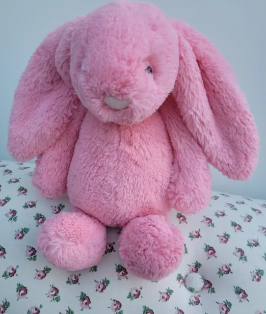 Bashful store sorbet bunny