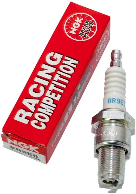 Candela Di Accensione Ngk (BR9EG)