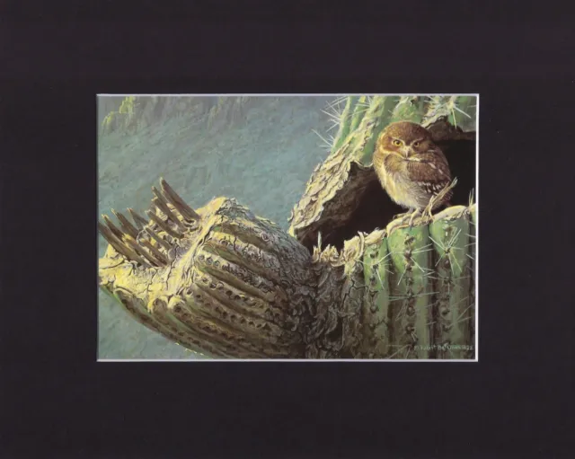 8X10" Matted Print Art Painting Picture, Robert Bateman: Young Elf Owl, 1982