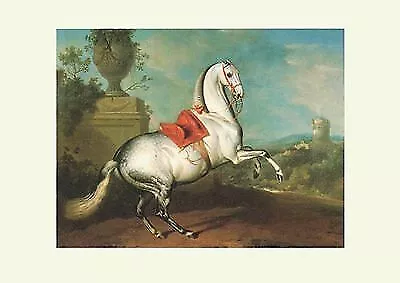 Lipizzaner NEPUT Apfelschimmel Pferde 1720 Gemälde von Hamilton K&K Faksimile 21