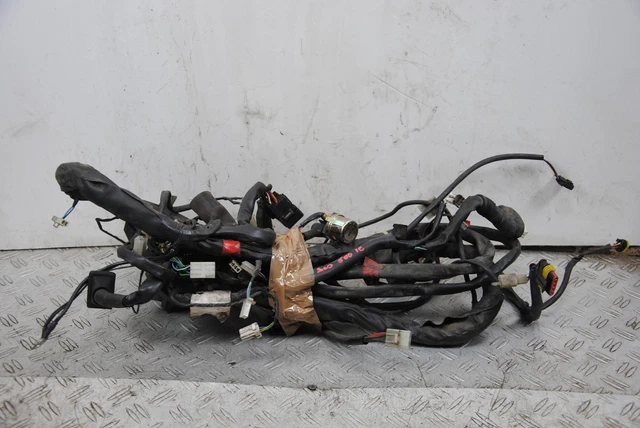 66952 Cablaggio impianto elettrico Aprilia Scarabeo 400 Dal 2006 al 2011