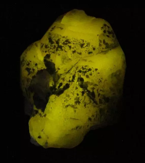 Apatite fluorescente naturelle, cristal de guérison, spécimen Reiki, 55g