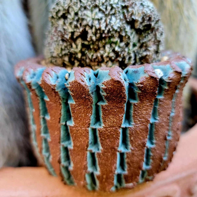 Peety Pots by Pablo Handmade Pottery - Wheel Thrown - Kiln Fired