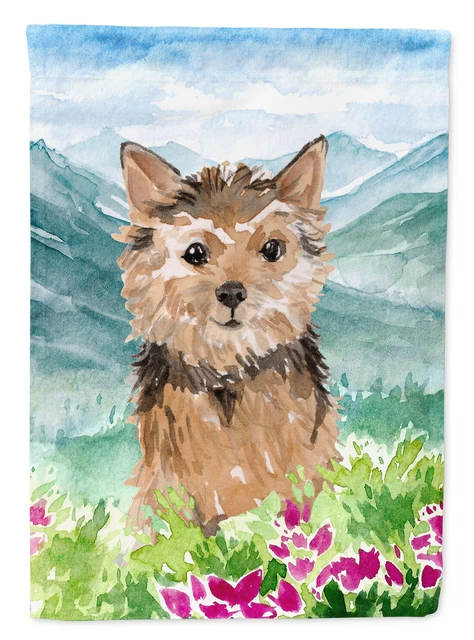 Mountian Flowers Norwich Terrier Flag Garden Size CK1971GF