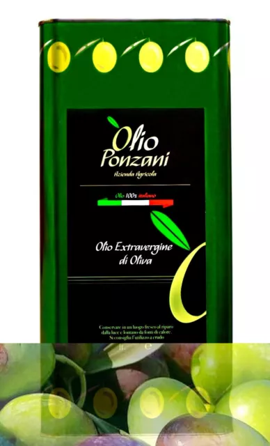 Olio Extravergine Di Oliva Della Sabina 5 Litri A Freddo 100% Italiano 2023 - 24