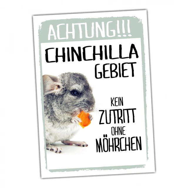 Achtung Kaninchen Warnschild – 20x14 Cm, Metall, Lustiger Spruch, Wetterfest