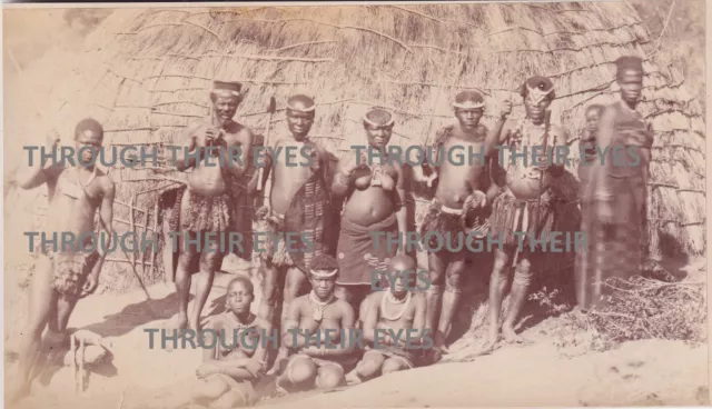 Original photo Zulu tribal  group outside hut 1880's weapons shield South Africa