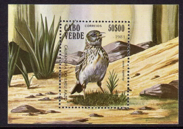 Birds - Cape Verde Is 1981 min. sheet fine fresh MNH