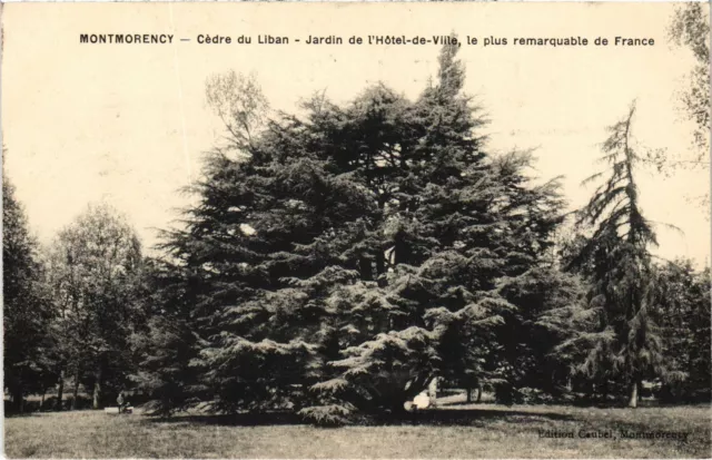 CPA Montmorency Jardin de l'Hotel de Ville FRANCE (1330928)