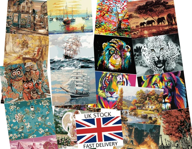 DIY Oil Acrylic Painting Kit Paint By Numbers Adult Children Beginners Frameless