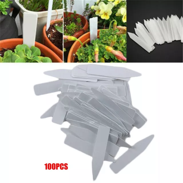 100 X Plante Jardin Étiquettes Plastique Blanc Marqueur Crèche Extérieur Piquet