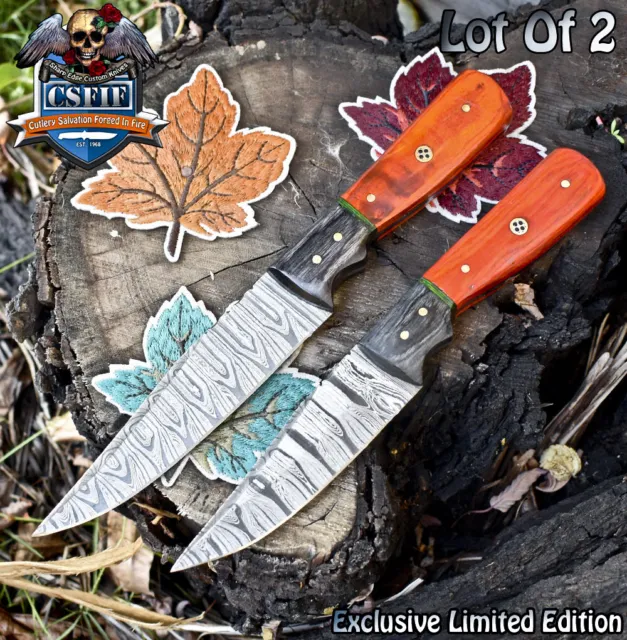 CSFIF Custom Hand Forged Skinner Knife Twist Damascus Hard Wood Lot of 2 Outdoor