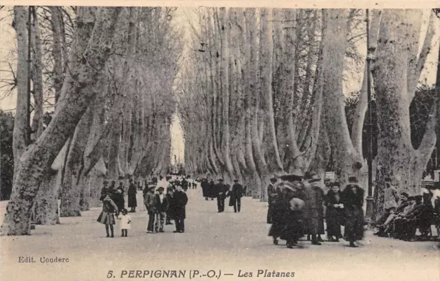 Cpa 66 Perpignan Les Platanes