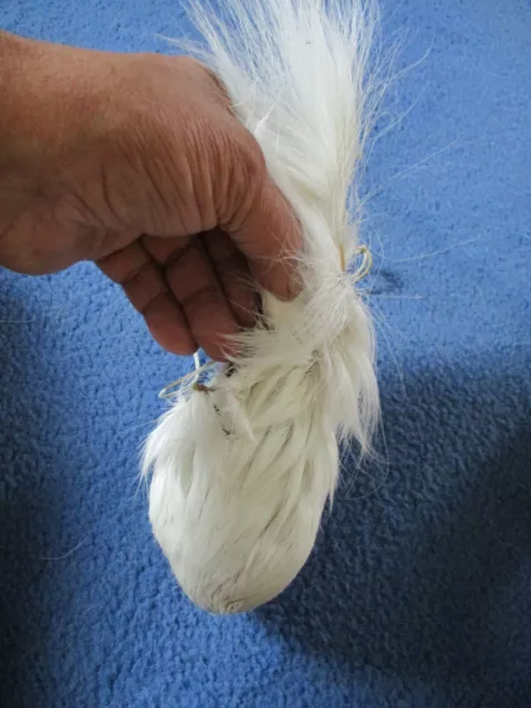 trophy whitetail deer scrotum real Ball bag oddity nutsack gag gift art rare P3