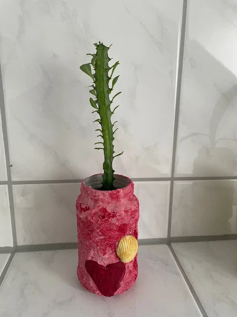 KAKTUS DREIKANTIGE WOLFSMILCH Euphorbia Trigona 3 Ableger Pflanzen  Stecklinge EUR 9,55 - PicClick DE
