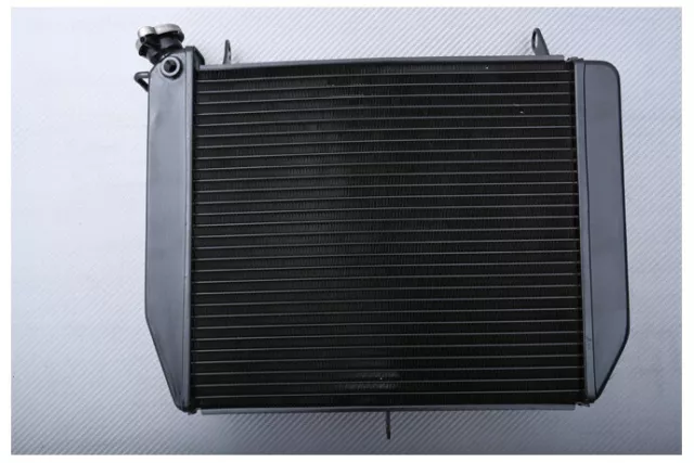 Radiateur d Eau Type Origine en Aluminium YAMAHA YZF R1 YZF-R1 RN04 2000-2001