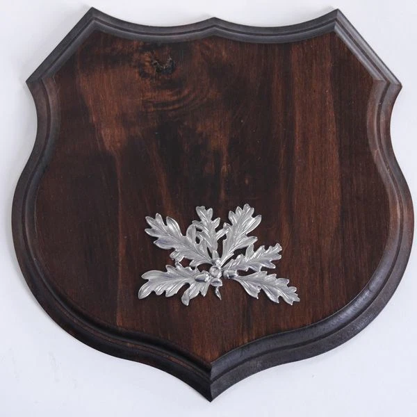 1x Armas Jabalí Escudo de Trofeo Af 19cm, Hoja de Roble Portada Color Plata 2