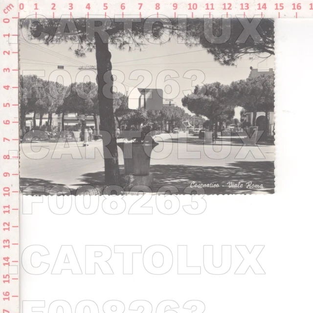 F8263 Forli Cesena 1959 Cesenatico Viale Roma Editore Emporio Franca