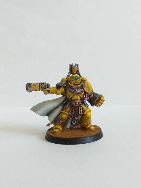 WARHAMMER 40K PRIMARIS Captain with Power Fist pro painted display space marines EUR 100,00 - FR
