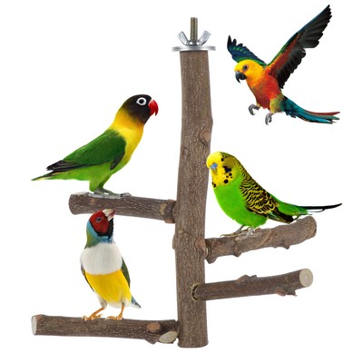 Betinyar Lot de 10 perchoirs en bois naturel pour perroquet inséparables nature calopsittes balançoire pour perruches 