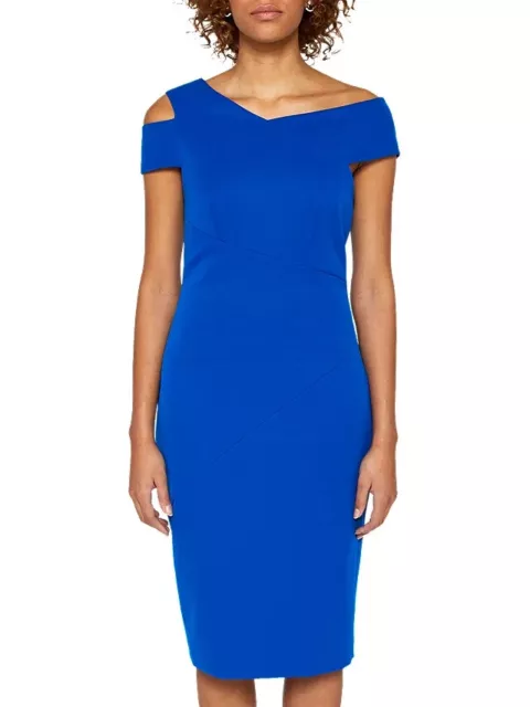 Ted baker clearance yandal dress
