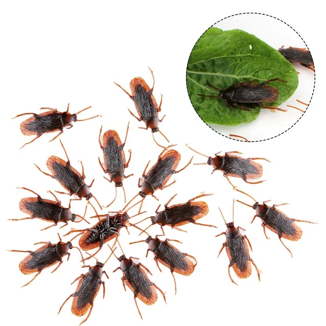 Cucarachas de cuerda 6 cm x 2 cm cucarachas Bug cucarachas respetuosas con el medio ambiente alta calidad