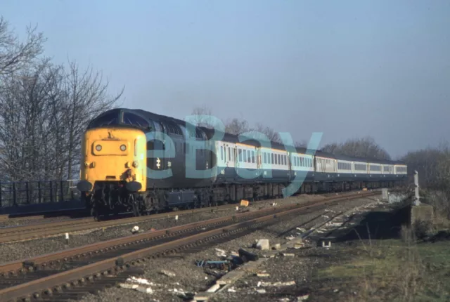 35mm Railway Slide of Class 55 Deltic 55004 Copyright to Buyer