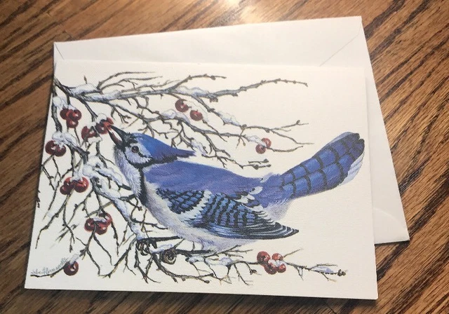 Artistic Blank Winter Greeting Card Birds By John Cornacchio Vintage Unused