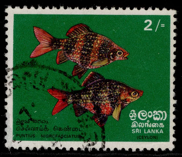 SRI LANKA QEII SG597, 2r black ruby barb, FINE USED.