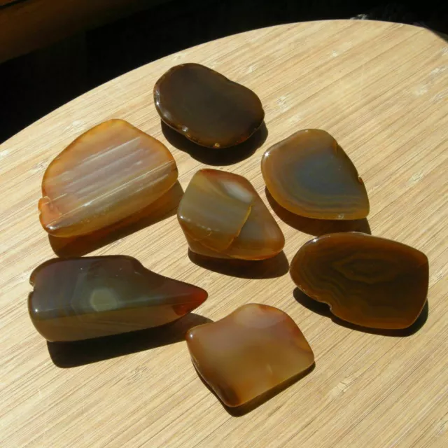 7 Agate Crystal Geode Stones Polished Display Slices Banded Brown Rocks 1LB Lot