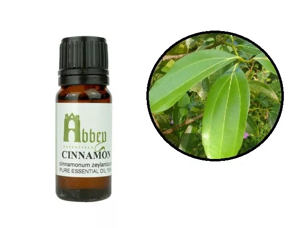 Essential Oil Cinnamon Leaf 100% Pure Natural Aromatherapy 10ml - 1 Litre