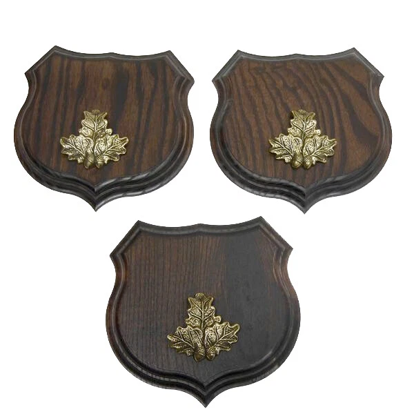 3x Wappenschilder Jabalí Af 15cm Escudo de Trofeo Hoja de Roble Portada Pequeño