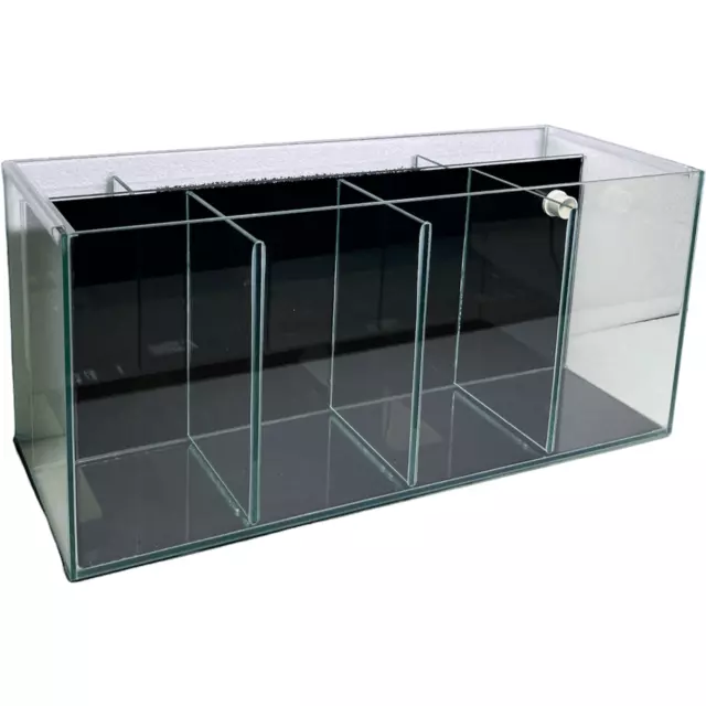 Fighter Betta Fish 4 Bay Aquarium Tank