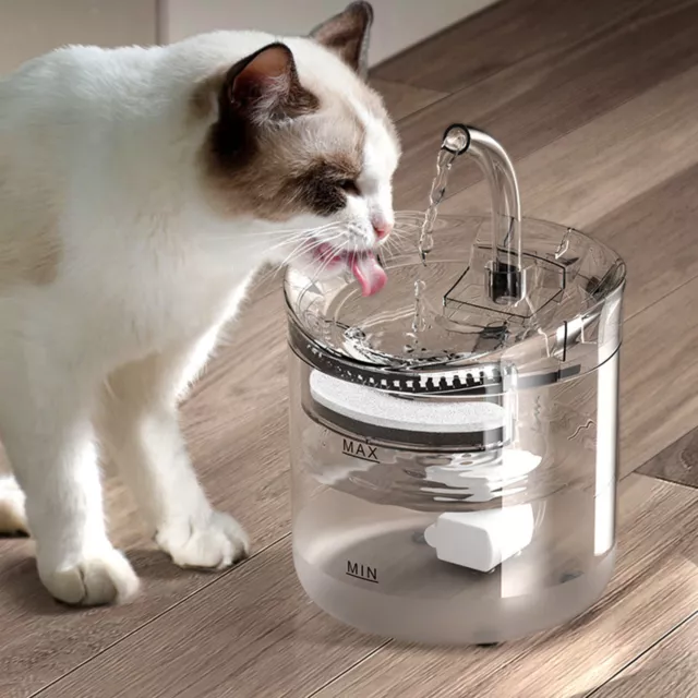 Fontaine à eau automatique pour chat avec filtre Distributeur d'eau pour