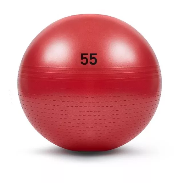 adidas Gymnastikball Pilates Ball Sitzball 55cm rot, ADBL-11245OR